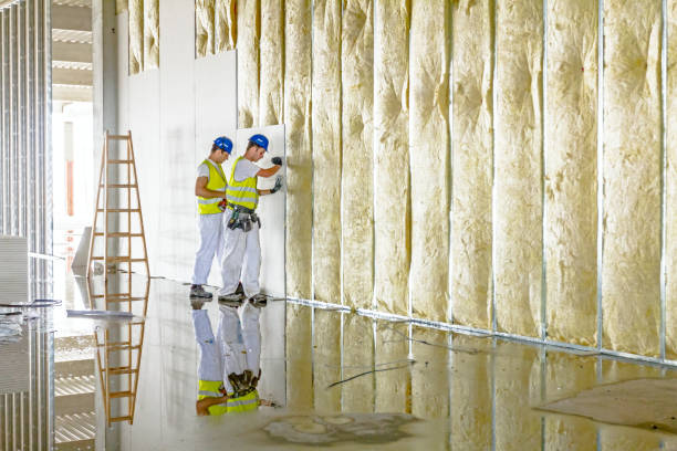 Best Residential Insulation in Owensville, MO